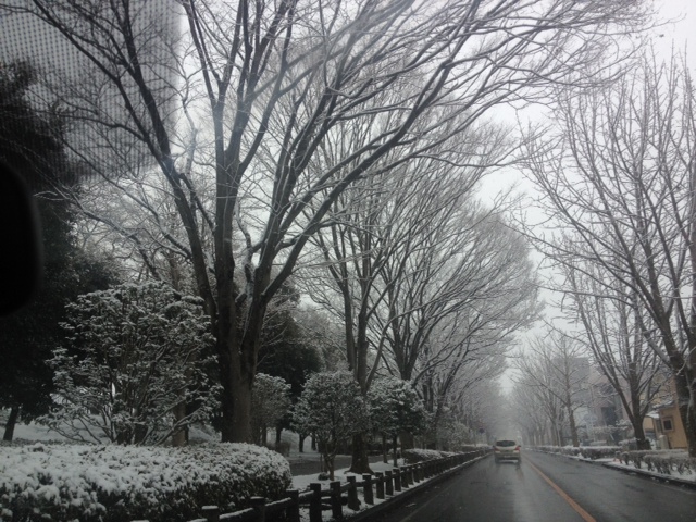 写真 2.JPG